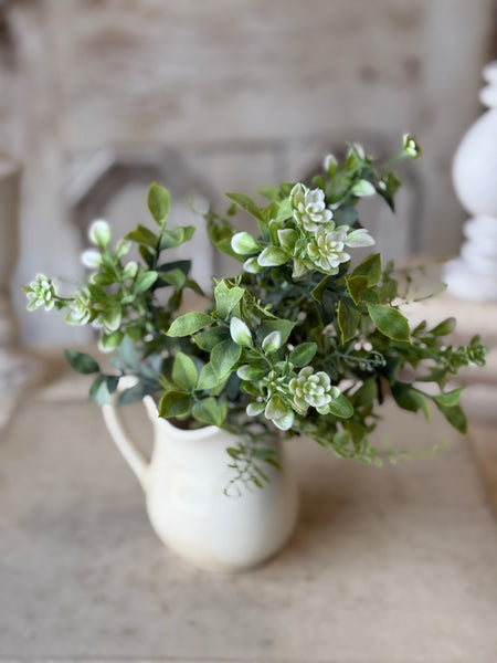 Admiration Blooms Bush | 14" | NOT CURRENTLY IN STOCK-New For Spring 2027!
