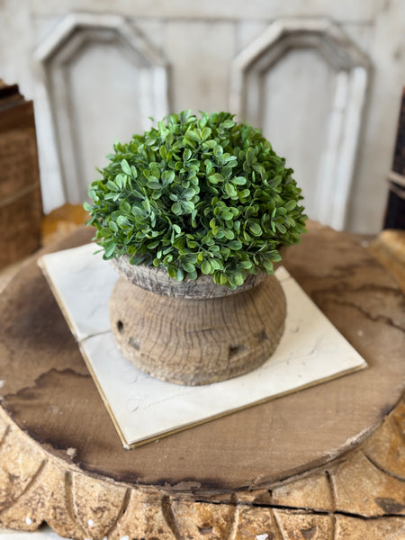 Santal Leaves Half Sphere | 6" | NOT CURRENTLY IN STOCK-New For Spring 2027!