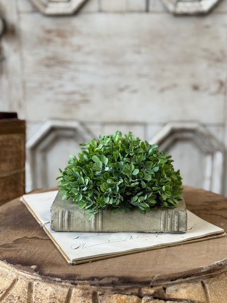Santal Leaves Half Sphere | 6" | NOT CURRENTLY IN STOCK-New For Spring 2027!