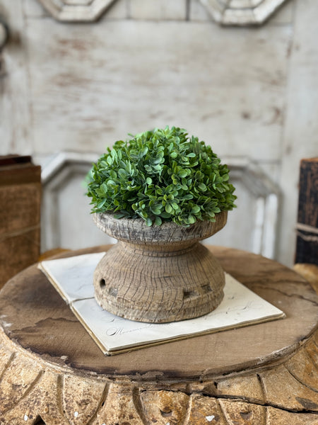 Santal Leaves Half Sphere | 6" | NOT CURRENTLY IN STOCK-New For Spring 2027!
