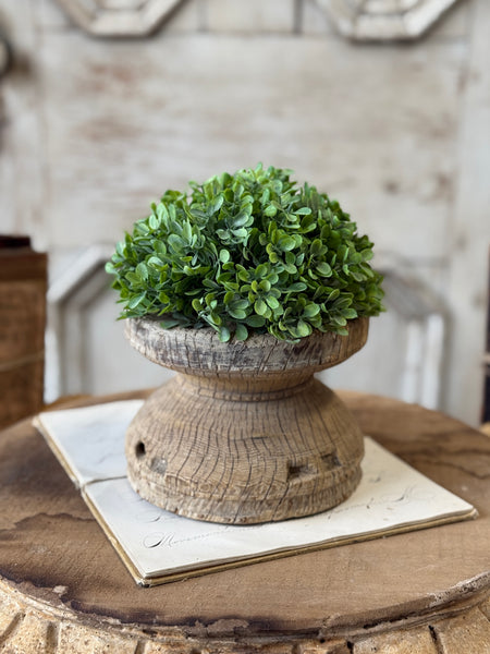 Santal Leaves Half Sphere | 6" | NOT CURRENTLY IN STOCK-New For Spring 2027!