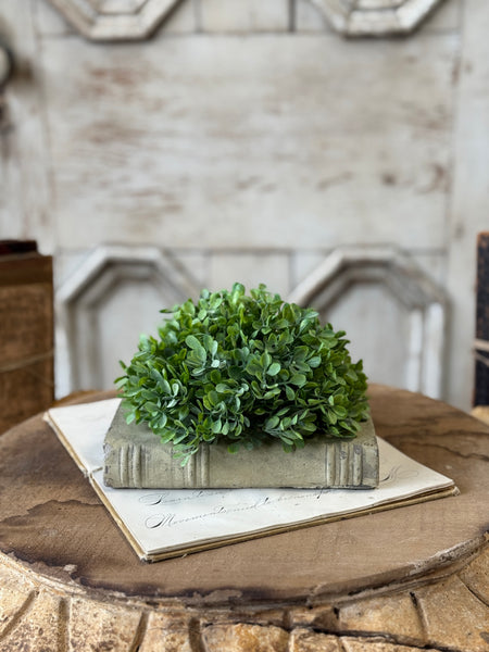 Santal Leaves Half Sphere | 6" | NOT CURRENTLY IN STOCK-New For Spring 2027!