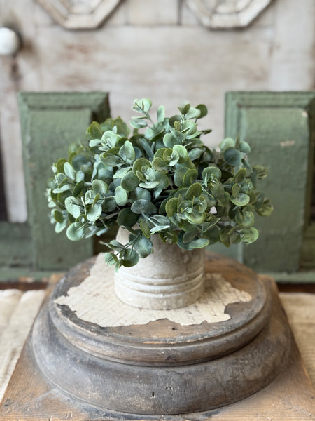 Endeavor Eucalyptus Half Sphere | 10" | NOT CURRENTLY IN STOCK-New For Spring 2027!