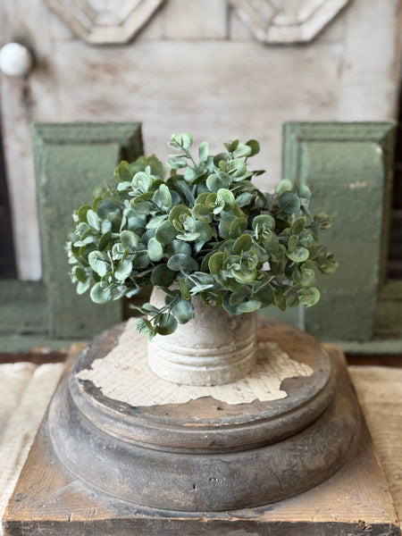 Endeavor Eucalyptus Half Sphere | 10" | NOT CURRENTLY IN STOCK-New For Spring 2027!