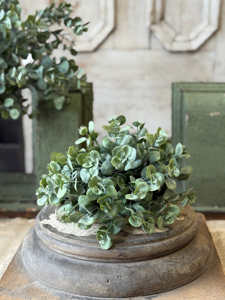 Endeavor Eucalyptus Half Sphere | 10" | NOT CURRENTLY IN STOCK-New For Spring 2027!