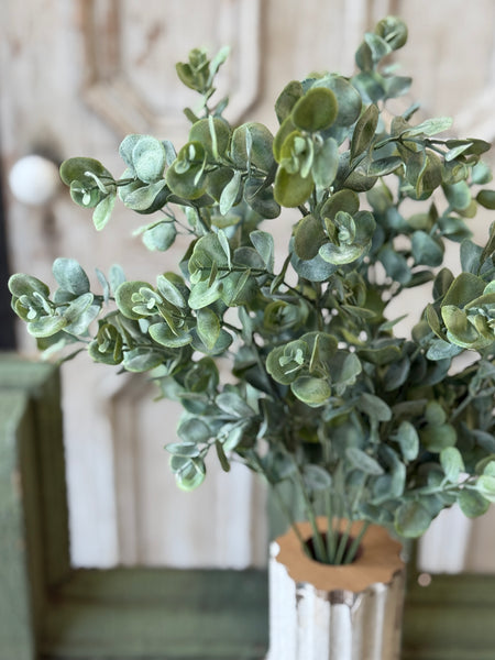 Endeavor Eucalyptus Bush | 21" | NOT CURRENTLY IN STOCK-New For Spring 2027!