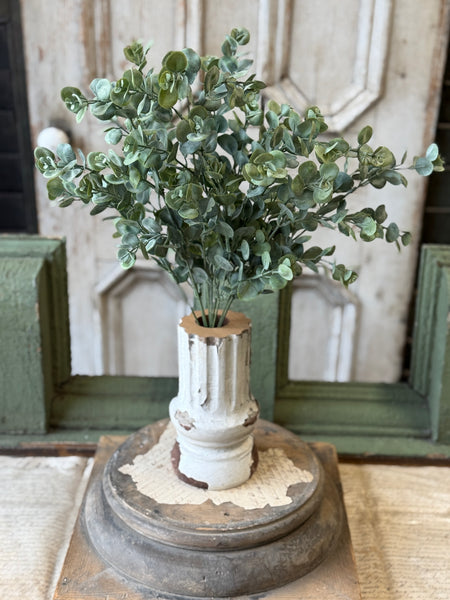 Endeavor Eucalyptus Bush | 21" | NOT CURRENTLY IN STOCK-New For Spring 2027!