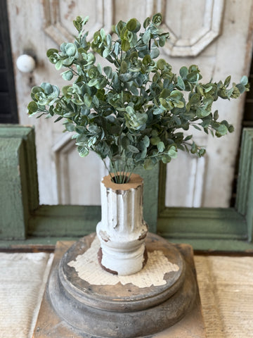 Endeavor Eucalyptus Bush | 21" | NOT CURRENTLY IN STOCK-New For Spring 2027!