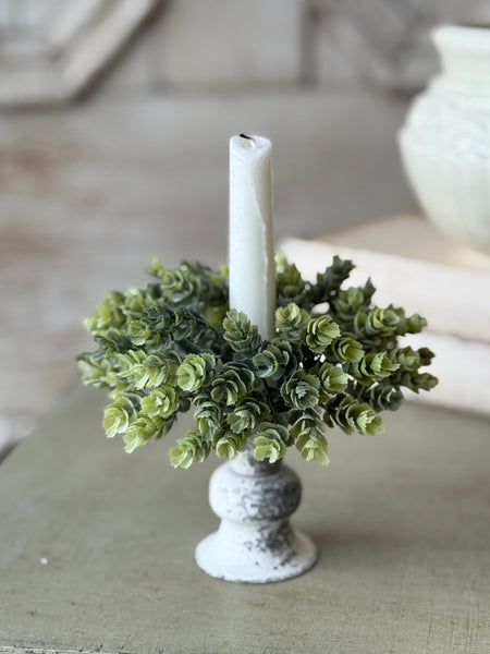 Home Hops Candle Ring | 6" | NOT CURRENTLY IN STOCK-New For Spring 2027!