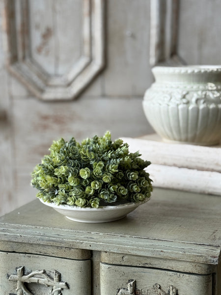 Home Hops Half Sphere | 7" | NOT CURRENTLY IN STOCK-New For Spring 2027!