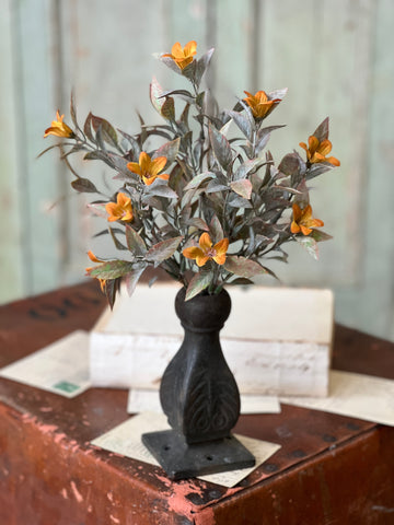 Coquette Blooms Bush | 13" | SOLD OUT