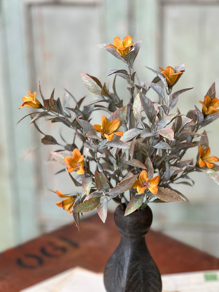 Coquette Blooms Bush | 13" | SOLD OUT