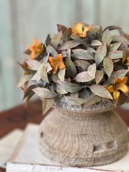 Coquette Blooms Half Sphere | 8" | SOLD OUT