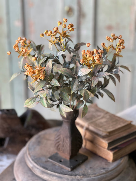 Trifle Blooms Bush | 14"