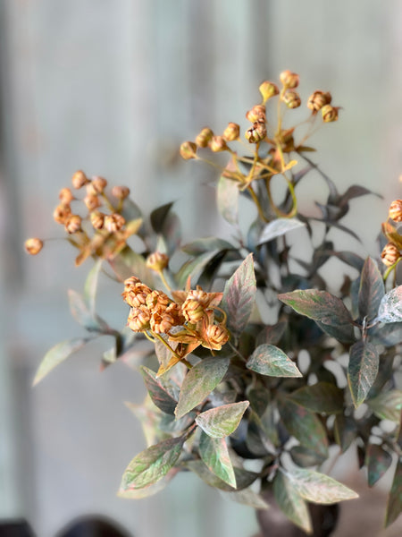 Trifle Blooms Bush | 14"