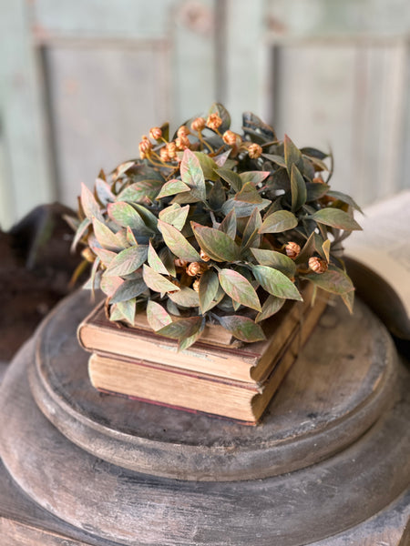 Trifle Blooms Half Sphere | 9" | SOLD OUT