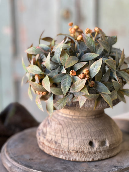 Trifle Blooms Half Sphere | 9" | SOLD OUT