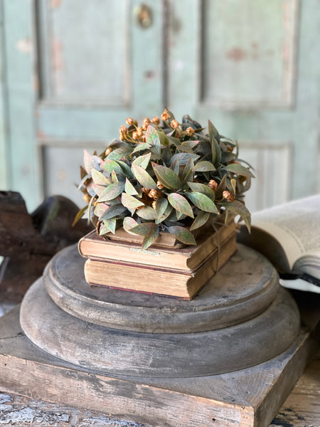 Trifle Blooms Half Sphere | 9" | SOLD OUT