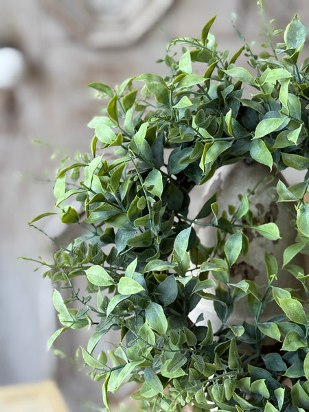 Stratford Fronds Candle Ring | 12" | NOT CURRENTLY IN STOCK-New For Spring 2027!