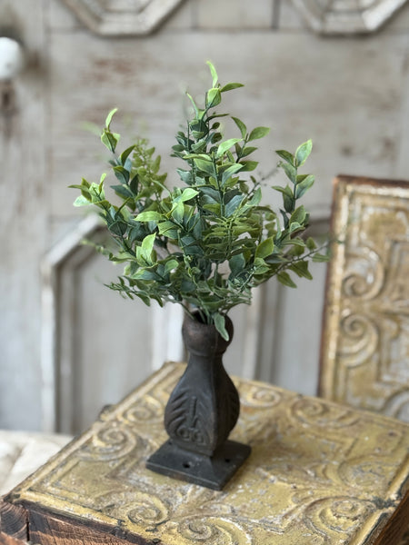 Stratford Fronds Bush | 14" | NOT CURRENTLY IN STOCK-New For Spring 2027!