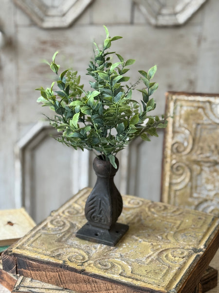 Stratford Fronds Bush | 14" | NOT CURRENTLY IN STOCK-New For Spring 2027!
