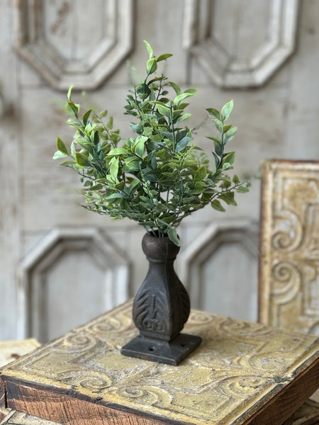 Stratford Fronds Bush | 14" | NOT CURRENTLY IN STOCK-New For Spring 2027!