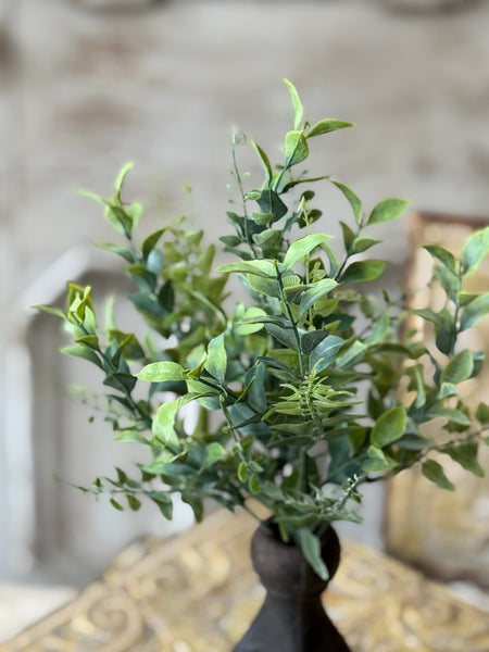 Stratford Fronds Bush | 14" | NOT CURRENTLY IN STOCK-New For Spring 2027!