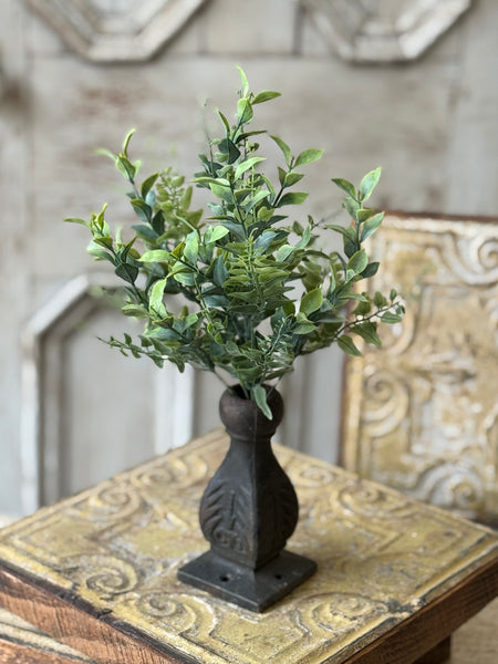 Stratford Fronds Bush | 14" | NOT CURRENTLY IN STOCK-New For Spring 2027!