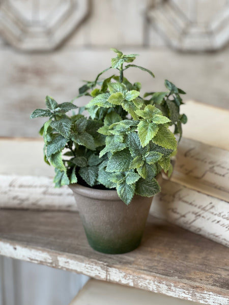 Hickman Pot | 10" | Mint