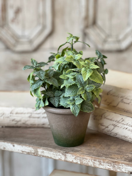 Hickman Pot | 10" | Mint