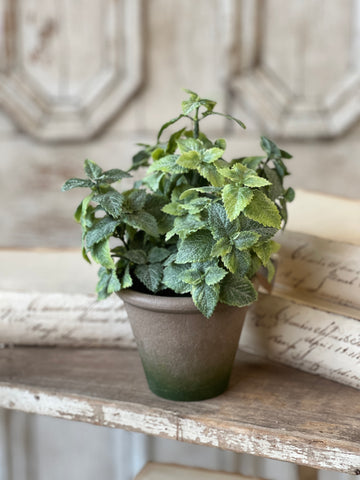 Hickman Pot | 10" | Mint