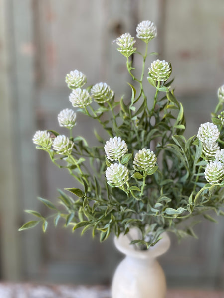 Thimble Buds Bush | 17" | Cream | NOT CURRENTLY IN STOCK-New For Spring 2026!