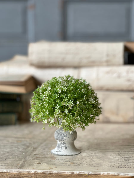 Elfin Blooms Half Sphere | 5" | NOT CURRENTLY IN STOCK-New For Spring 2026!