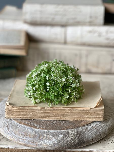 Elfin Blooms Half Sphere | 5" | NOT CURRENTLY IN STOCK-New For Spring 2026!