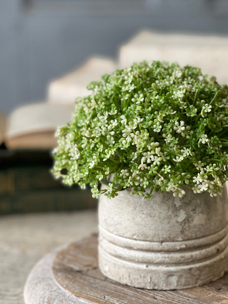 Elfin Blooms Half Sphere | 7" | NOT CURRENTLY IN STOCK-New For Spring 2026!