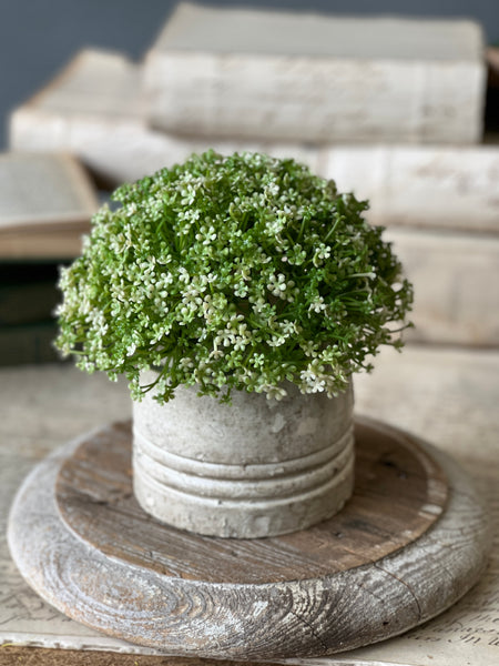 Elfin Blooms Half Sphere | 7" | NOT CURRENTLY IN STOCK-New For Spring 2026!