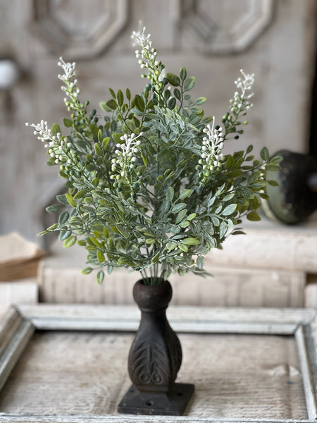 Cloister Berry Bush | 17" | NOT CURRENTLY IN STOCK-New For Spring 2026!