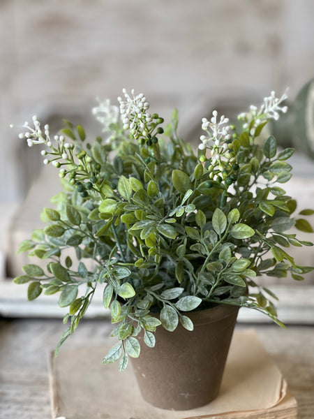 Cloister Berry Pot | 12" | NOT CURRENTLY IN STOCK-New For Spring 2026!