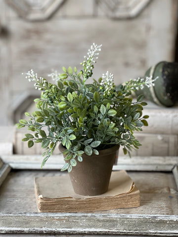 Cloister Berry Pot | 12" | NOT CURRENTLY IN STOCK-New For Spring 2026!