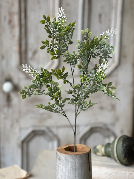 Cloister Berry Spray | 29" | NOT CURRENTLY IN STOCK-New For Spring 2026!