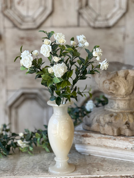 Rosarium Florerts Bush | 14" | NOT CURRENTLY IN STOCK-New For Spring 2026!