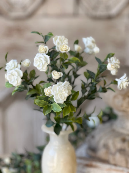 Rosarium Florerts Bush | 14" | NOT CURRENTLY IN STOCK-New For Spring 2026!