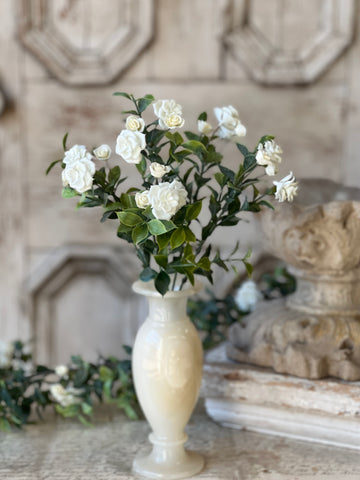 Rosarium Florerts Bush | 14" | NOT CURRENTLY IN STOCK-New For Spring 2026!