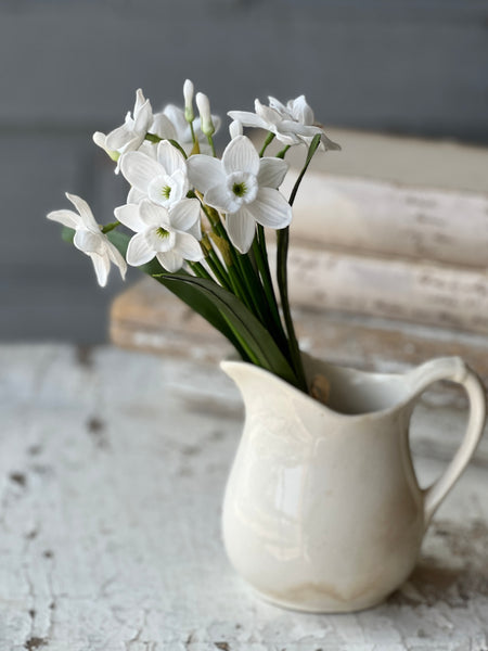 Buttercup Bundle | 11" | White