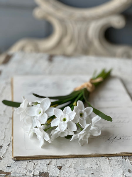 Buttercup Bundle | 11" | White