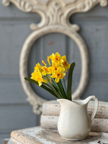 Buttercup Bundle | 11" | Yellow