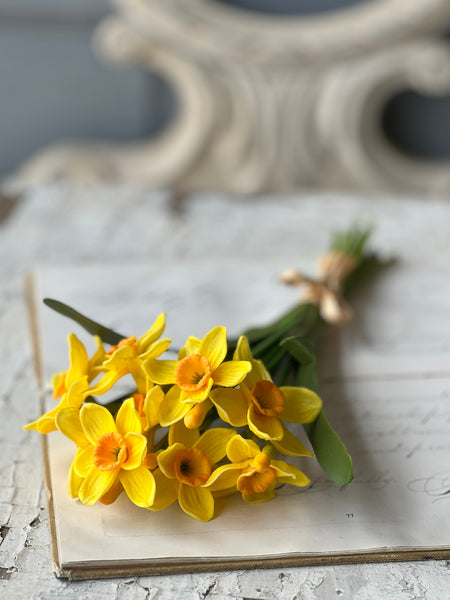 Buttercup Bundle | 11" | Yellow