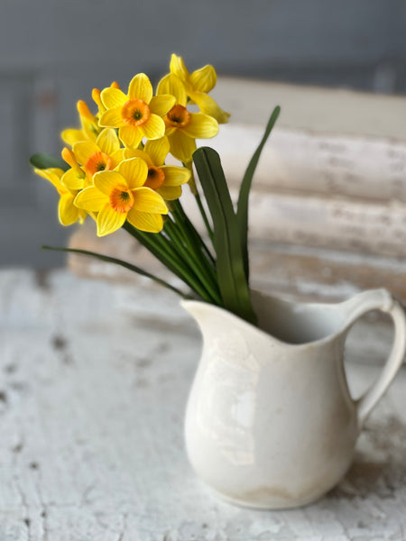 Buttercup Bundle | 11" | Yellow