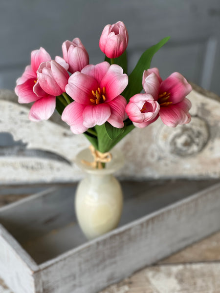 Merriweather Bundle | 15" | Darling