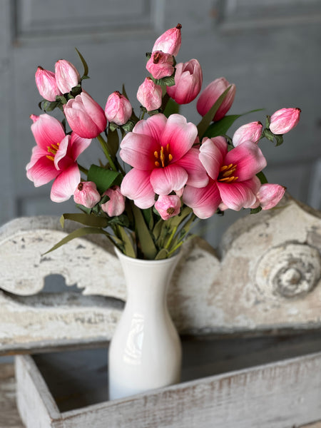 Merriweather Bundle | 15" | Darling